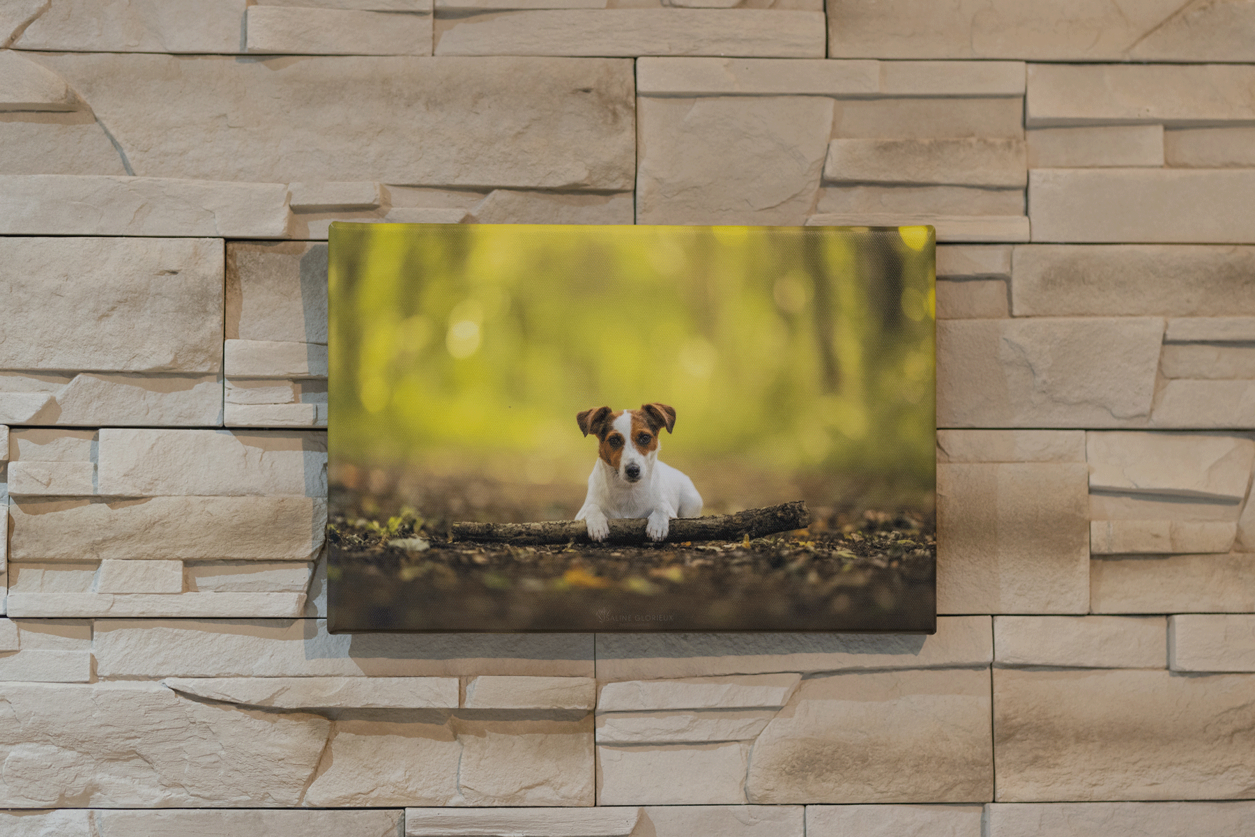impression toile chien foret jack Russell