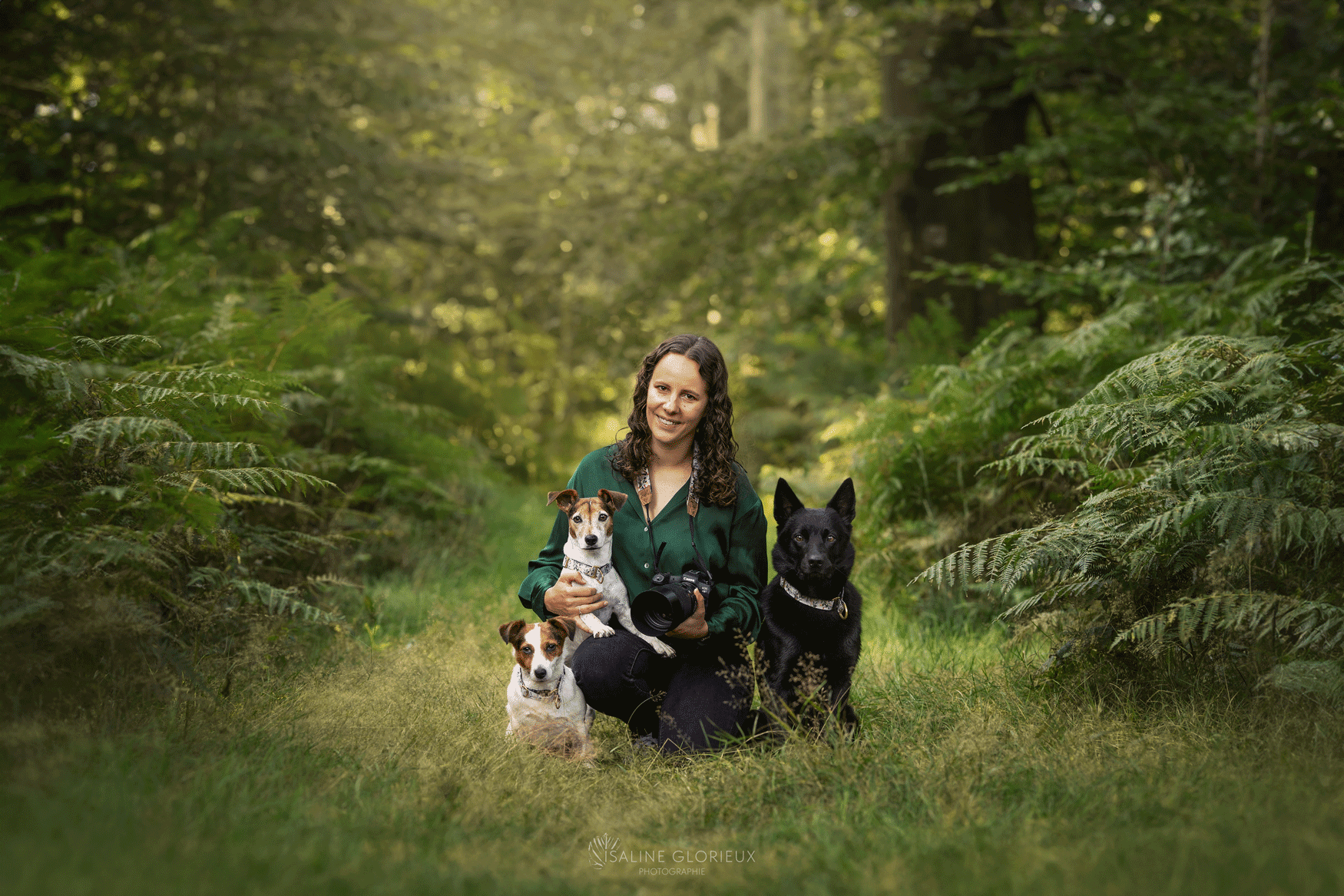photographe chien foret fougère kelpie jack Russell