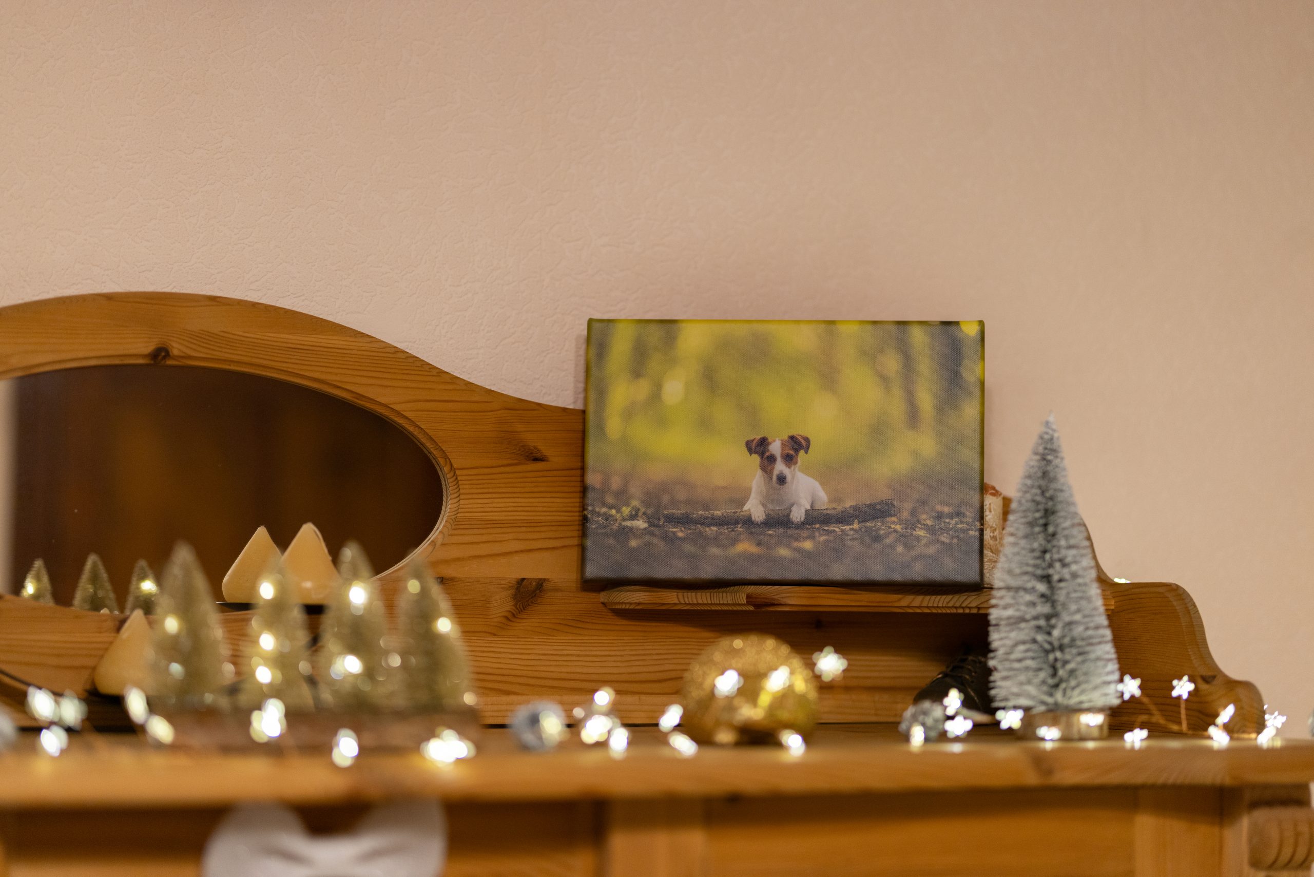 impression toile chien foret jack Russell déco maison